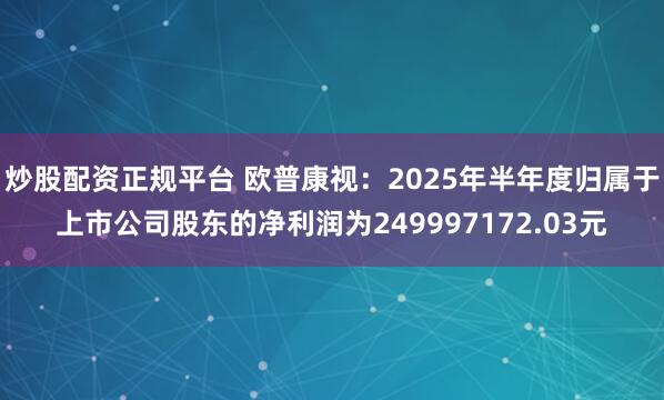 炒股配资正规平台 欧普康视：2025年半年度归属于上市公司股东的净利润为249997172.03元